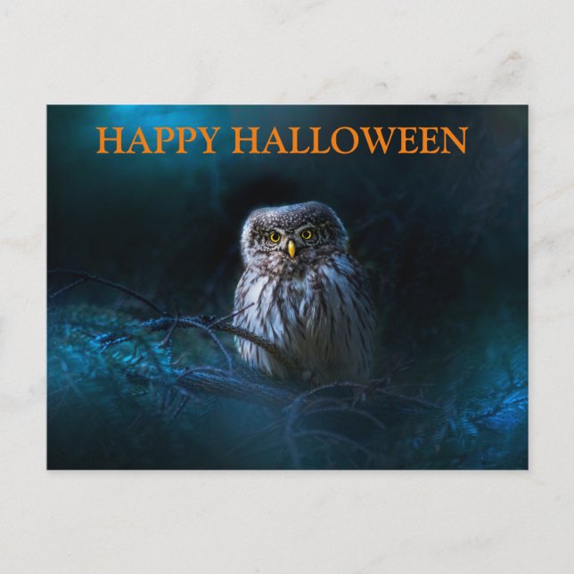 Scary Halloween Night with Owls Postcard (Front)
