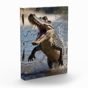 Scary Jaws: Australian Crocodile Leaping Photo Block