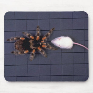 Scary Tarantula spider and white mouse Pad