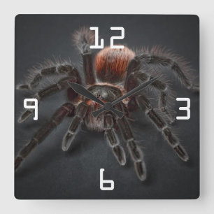 Scary Tarantula Spider Arachnophobia Square Wall Clock