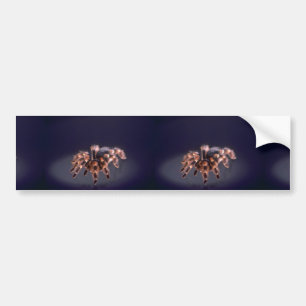 Scary Tarantula spider Bumper Sticker