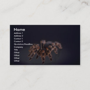 Scary Tarantula spider Business Card