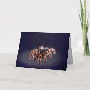 Scary Tarantula spider Card