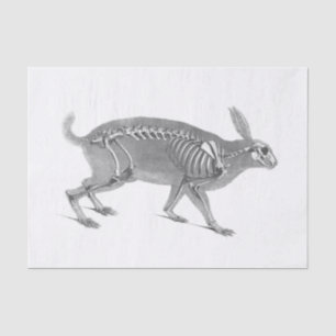 Scary vintage bunny skeleton tissue paper