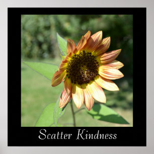 Scatter Kindness Sunflower Poster
