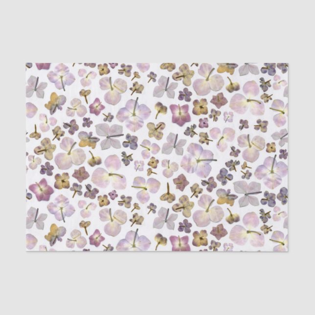 Scattered Hydrangea Tissue Paper (Front)