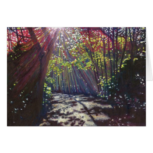 Scattered light 2013 (Front Horizontal)