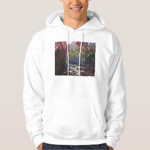Scattered light 2013 hoodie