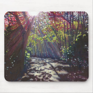 Scattered light 2013 mouse pad