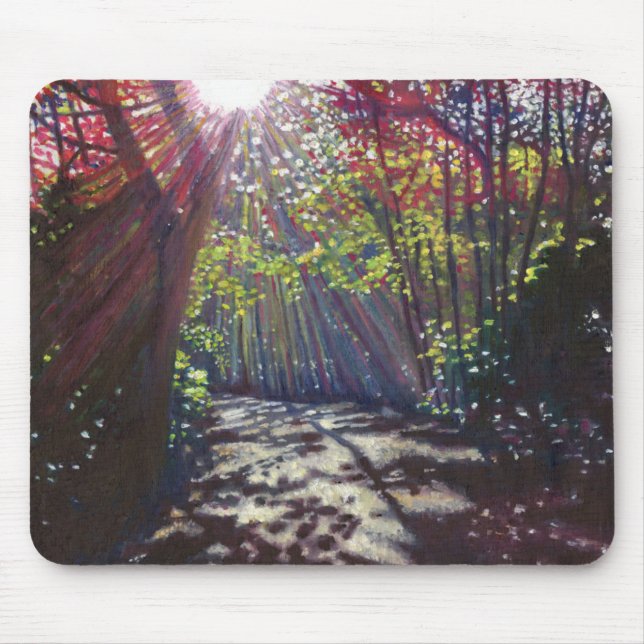 Scattered light 2013 mouse pad (Front)