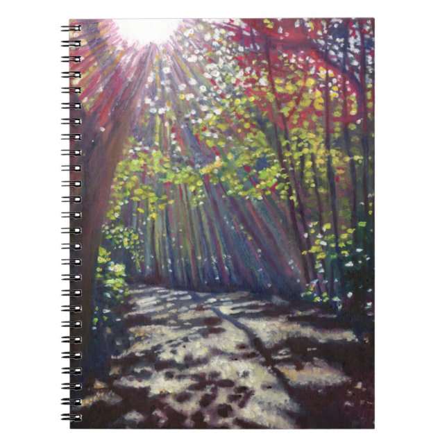 Scattered light 2013 notebook (Front)