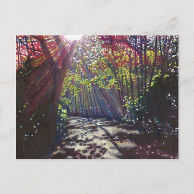 Scattered light 2013 postcard (Front)