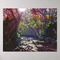 Scattered light 2013