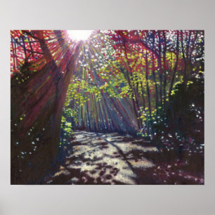 Scattered light 2013 poster