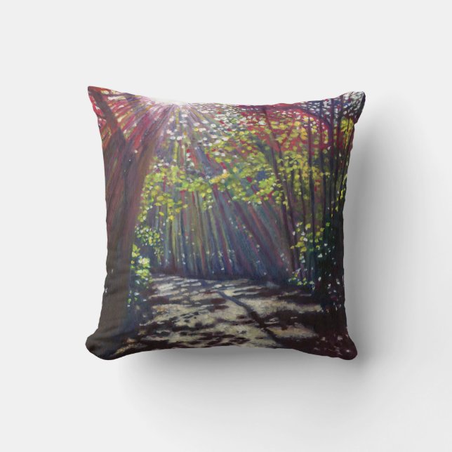 Scattered light 2013 throw pillow (Front)