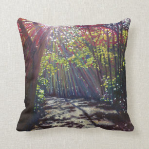 Scattered light 2013 throw pillow