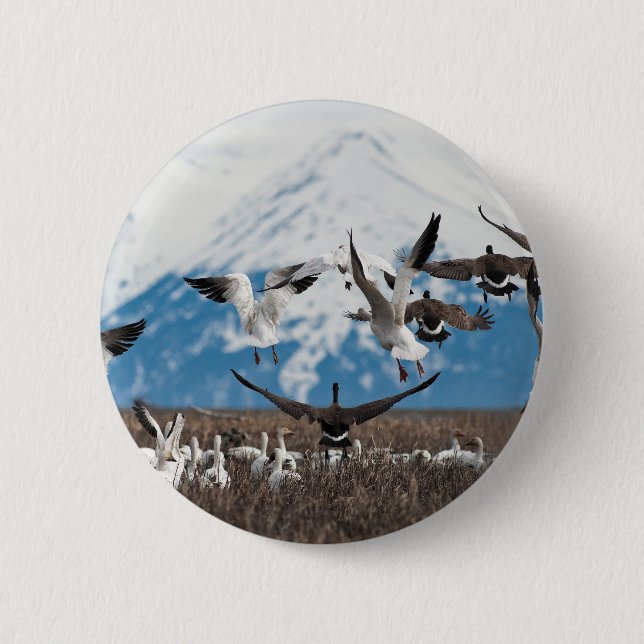 Scattering Geese 2 Inch Round Button (Front)