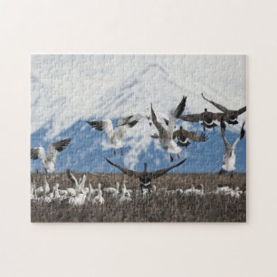 Scattering Geese Jigsaw Puzzle
