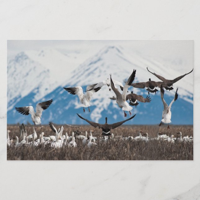 Scattering Geese Stationery (Front)
