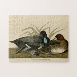 Scaup Duck (Lesser Scaup) Audubon Birds of America Jigsaw Puzzle