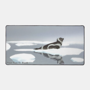 Sceau De Ruban Sur Glace