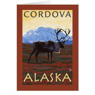 Scène Caribou - Cordova, Alaska