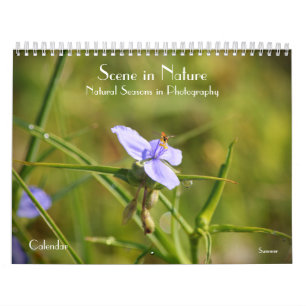 Scène dans la nature saisons dans le calendrier ph