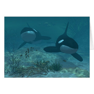 Scène de baleine