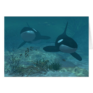 Scène de baleine