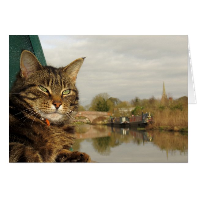 Scène de canal de chat de Narrowboat à Braunston. (Devant horizontal)