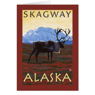 Scène de caribou - Skagway, Alaska