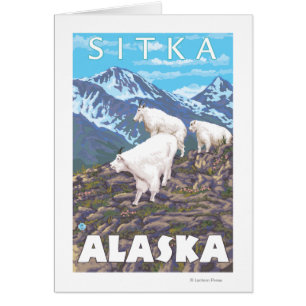 Scène de chèvres de montagne - Sitka, Alaska