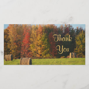 Scène de ferme de Merci