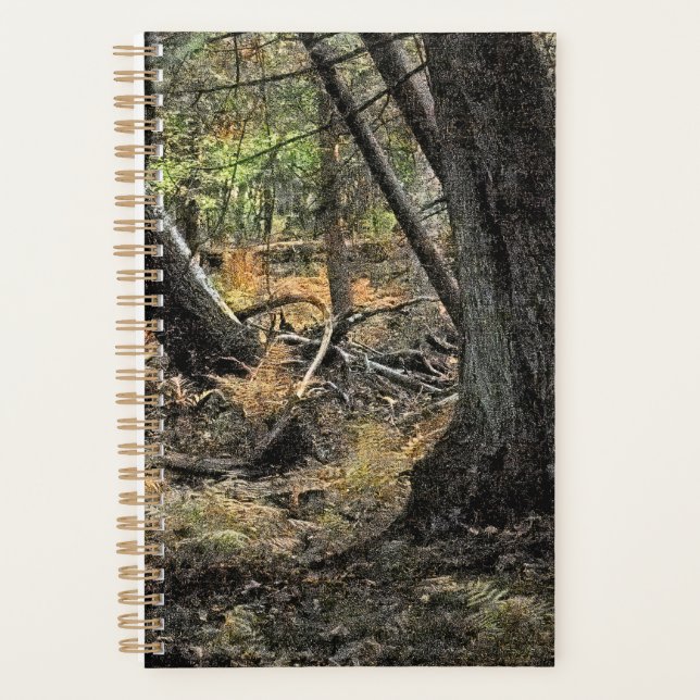 Scène de forêt automnale              (Devant)