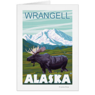 Scène de l'orignal - Wrangell, Alaska