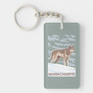 Scène de MassachusettsWolf