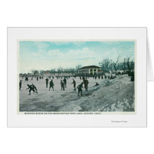 Scène de patinage de glace de parc de lac