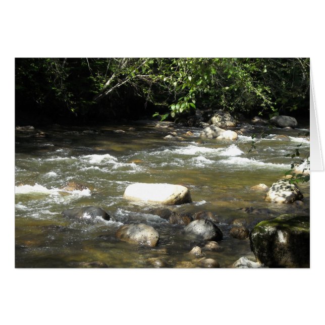 Scène de rivière (Devant Horizontal)