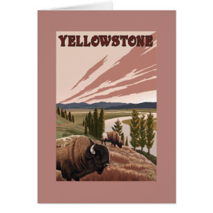 Scène de YellowstoneBison