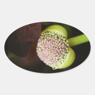 scene pristine oval sticker