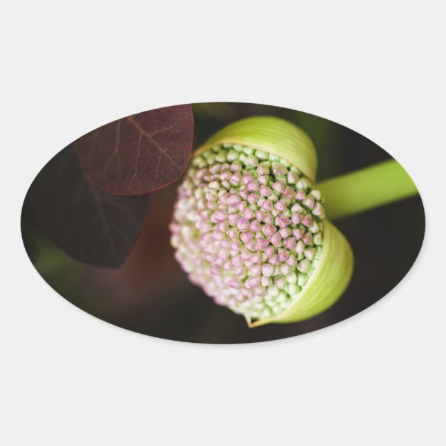 scene pristine oval sticker (Front)