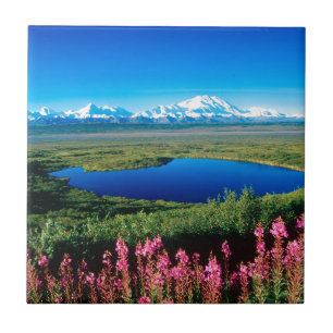 Scene Tundra Mount Mckinley Denali Alaska Tile