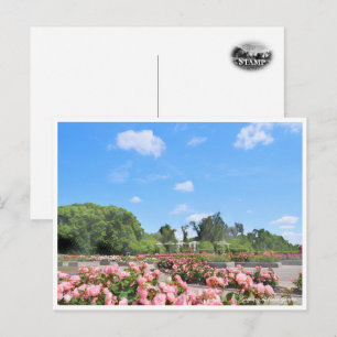 Scenery of Rose Garden Postcard
