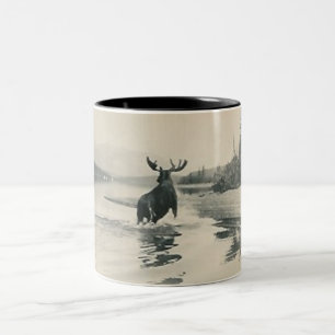 scenery photograph with moose mug