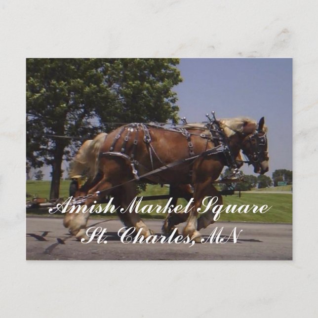 Scenery Postcard (Front)