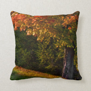 Scènes de Coussin du Foliage d'automne   Coussin A