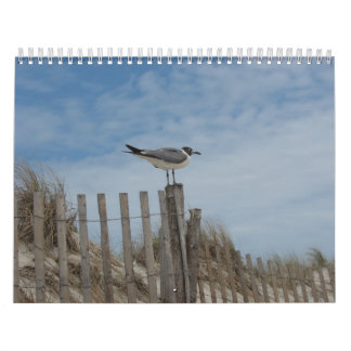 Scènes de plage calendrier de 19 mois 2011-2012