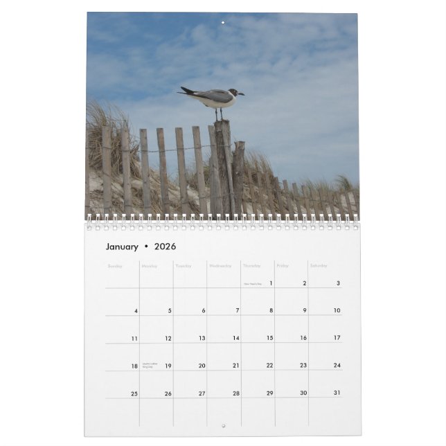 Scènes de plage calendrier de 19 mois 2011-2012 (Jan 2026)