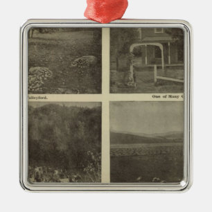 Scenes Inland Empire Metal Ornament