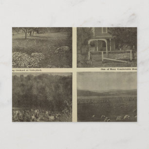 Scenes Inland Empire Postcard